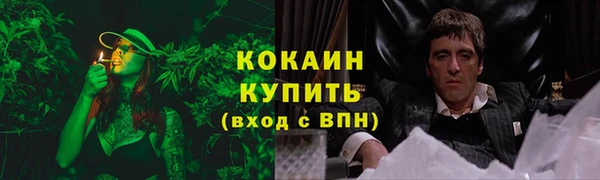 крисы Кодинск