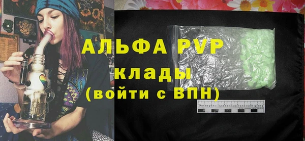 крисы Козельск