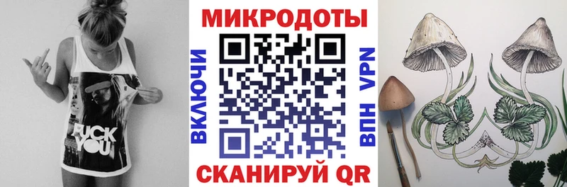 Галлюциногенные грибы прущие грибы  Белёв 